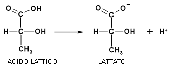 Acido lattico, 80% o che ≥95% L (+) - acido lattico 